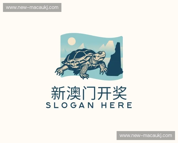 关于新澳门开奖官方网站